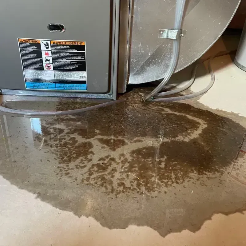 Appliance Leak Cleanup in Canyon City, OR